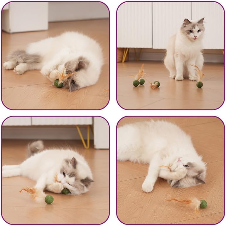 Catnip Balls with Feathers,Natural Catnip Toy for Play,Interactive Natural Lollipop Feathers Design Cat Toys Perfect for Indoor Cats