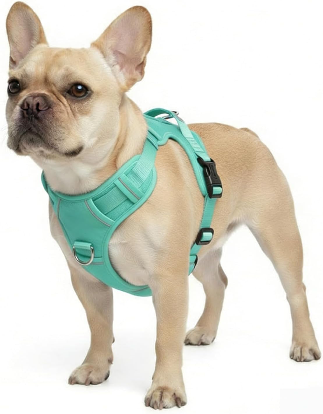 No Pull Dog Harness with 2 Leash Clips, Adjustable Soft Padded Reflective Oxford Pet Vest with Easy Control Handle for Large Dogs (Turquoise, Medium)