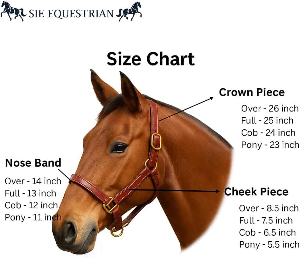 SIE Padded Leather Horse Halter with Brass Hardware and Raised Fancy Stitching