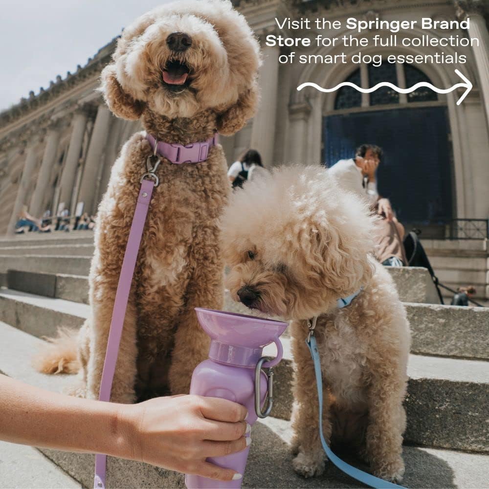 Springer Dog Water Bottle | Portable Travel Drinking Feeder Dispenser for Dogs & Puppies | As Seen on Shark Tank | Leak-Proof Bowl | BPA-Free | Outdoor Walking, Hiking & Travel | 15oz Blue