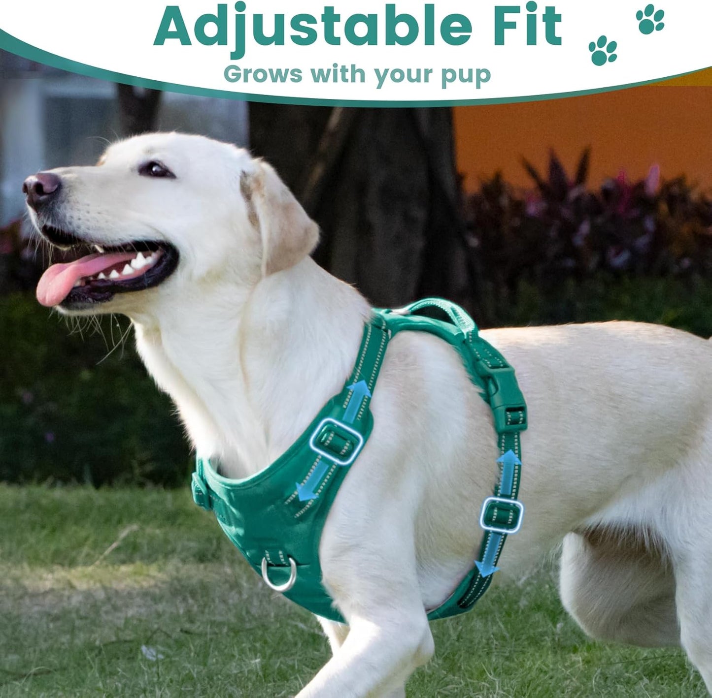 No Pull Dog Harness, Reflective Puppy Vest for Small Medium Large Sized Dog(MARRS Green,S)