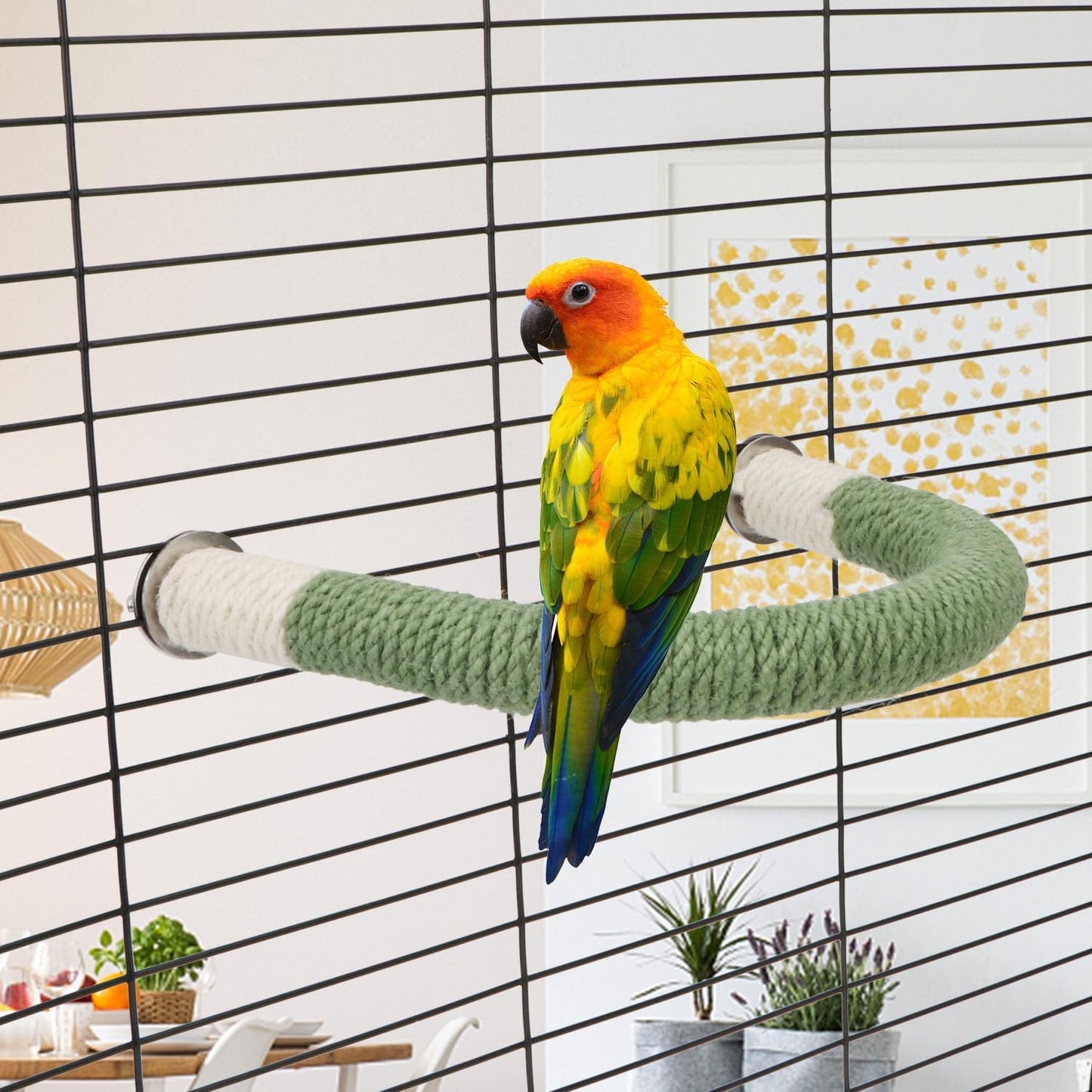 Hypeety Bird Perches Parrot U Shape Natural Wood Hemp Rope Stand Perch Bird Stick Paw Grinding Perch Birdcage Accessories Perch Standing Toy for Budgies Parakeet Cockatiel Conures