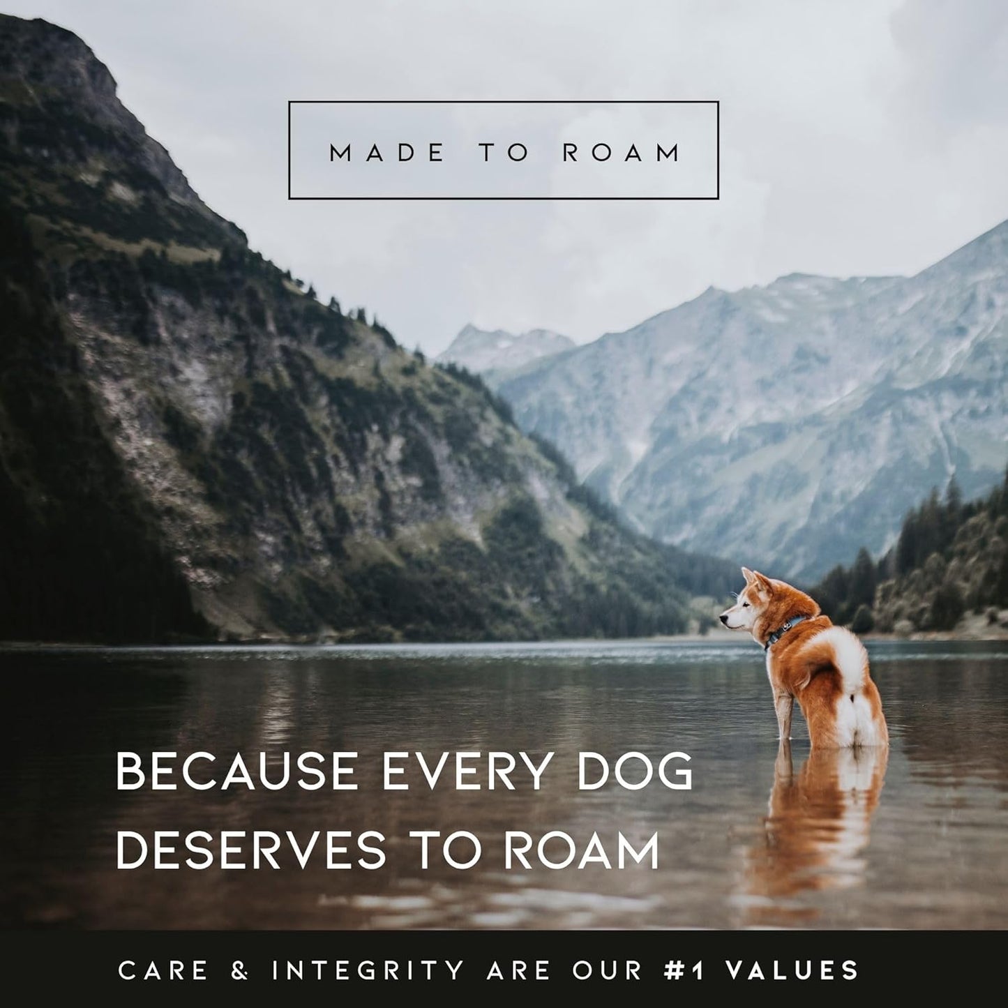 MADE TO ROAM Premium Explorer Harness - Y-Shaped Dog Harness with Adjustable Durable Nylon, Soft Padding, Metal Buckles and Leather Handle for Small, Medium, Large Dogs (Michigan Autumn, Size 6)