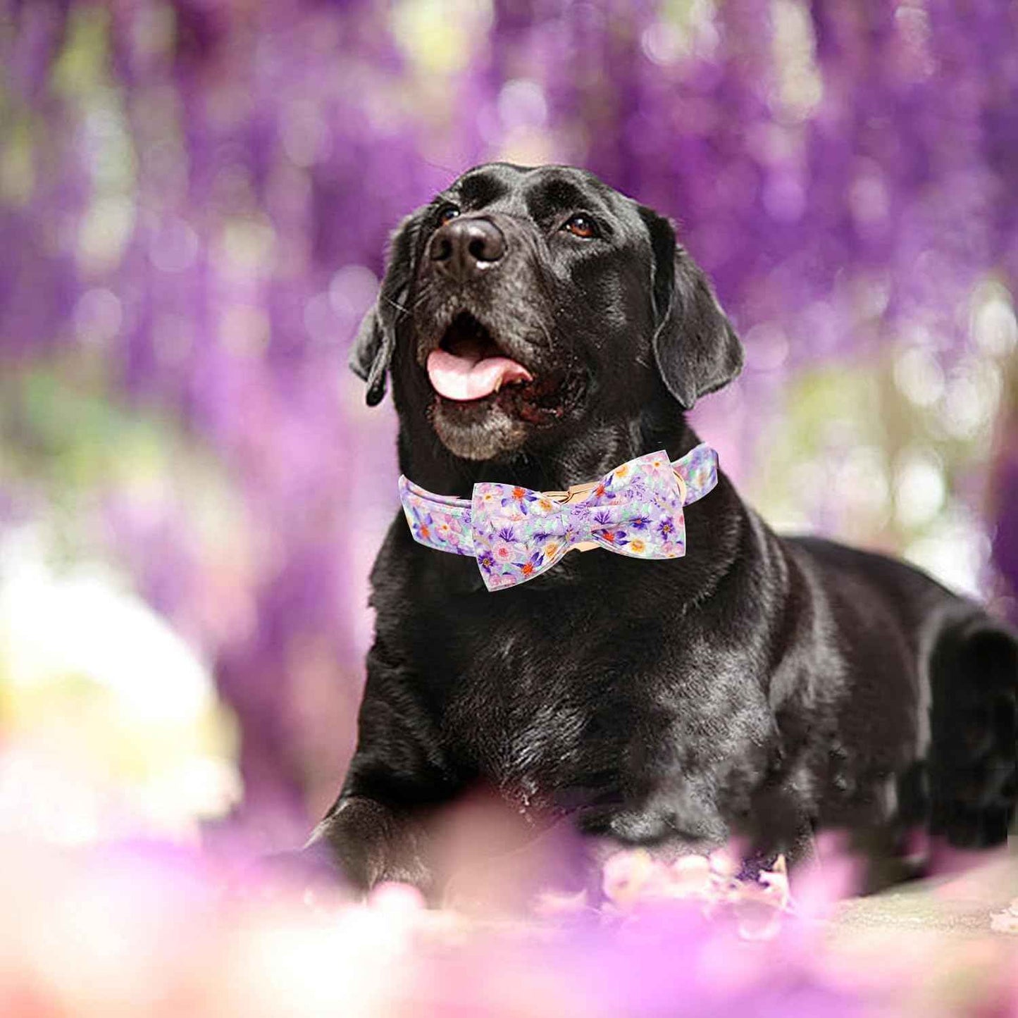 Elegant little tail Dog Collar, Rose Print Pet Collar Summer Dog Collar Durable Metal Buckle Dog Collars Cotton Pet Adjustable Dog Collars for Large Dogs