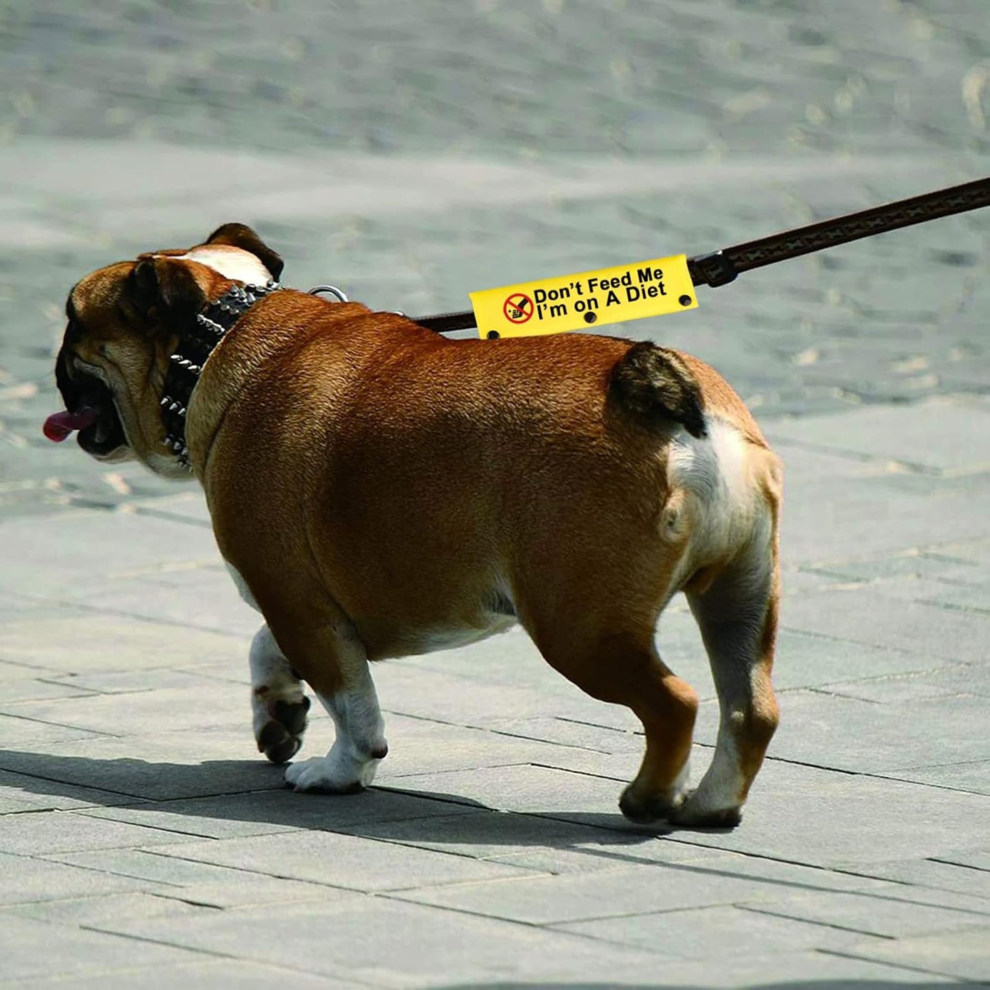 Funny Dog Leash Sleeve Don’t Feed Me I’M On A Diet Dog Leash Wrap Sleeve Alert Tag Pet Birthday Gift (Don’T Feed Me-YE Sleeve)
