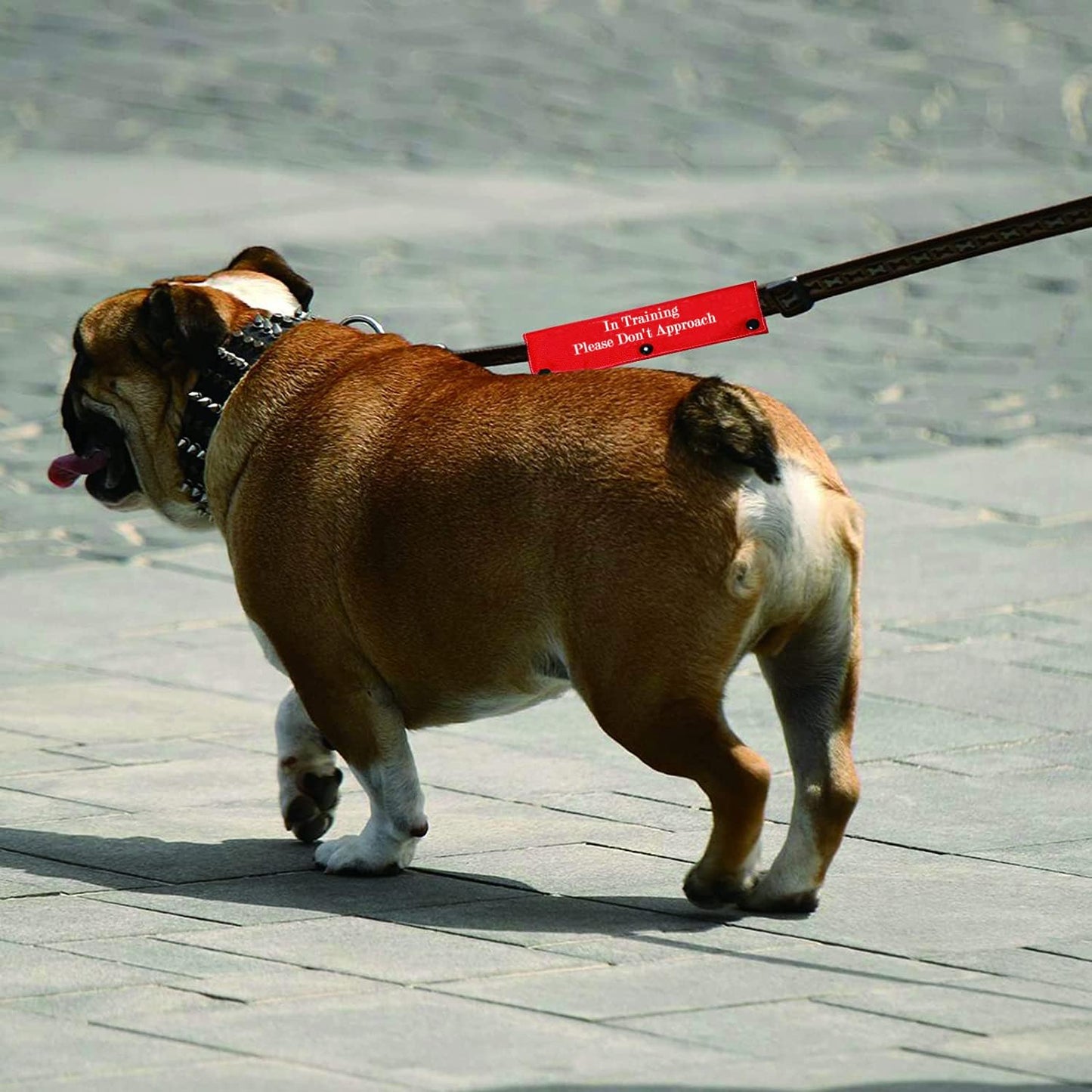 Funny Dog Leash Sleeve in Training Please Don't Approach Dog Leash Wrap Wrap Alert Hanging ID Patch Tag(Don't Approach-Sleeve)