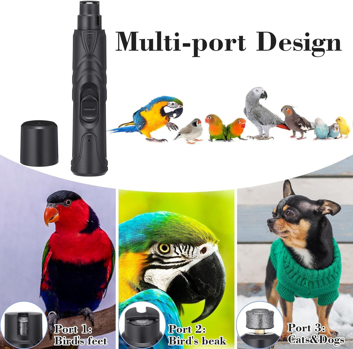 Lasnten 2 Pcs Bird Nail Grinder with Bird Nail Clipper Bird Nail Trimmer Bird Nail File with LED Lamp Grooming Tool for Bird Parrot Budgerigars Parakeets Myna Conure Finches Lovebirds (Black)