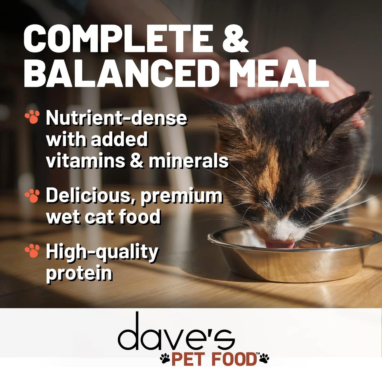 Dave's Pet Food Grain Free Wet Canned Cat Food (Turkey), Made in USA Naturally Healthy, Added Vitamins & Minerals, Gluten-Free, 12.5 oz Cans (12 Pack)
