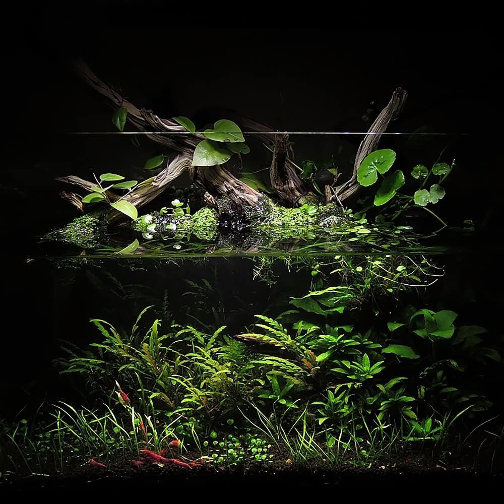 Ultum Nature Systems Controsoil - Freshwater Aqua Soil Substrate for Fish, Shrimp, Live Plant Propagation and Aquascaping - 6.8pH Low Ammonia, Volcanic Ash - Black, Fine (10 Liter | 20LB)