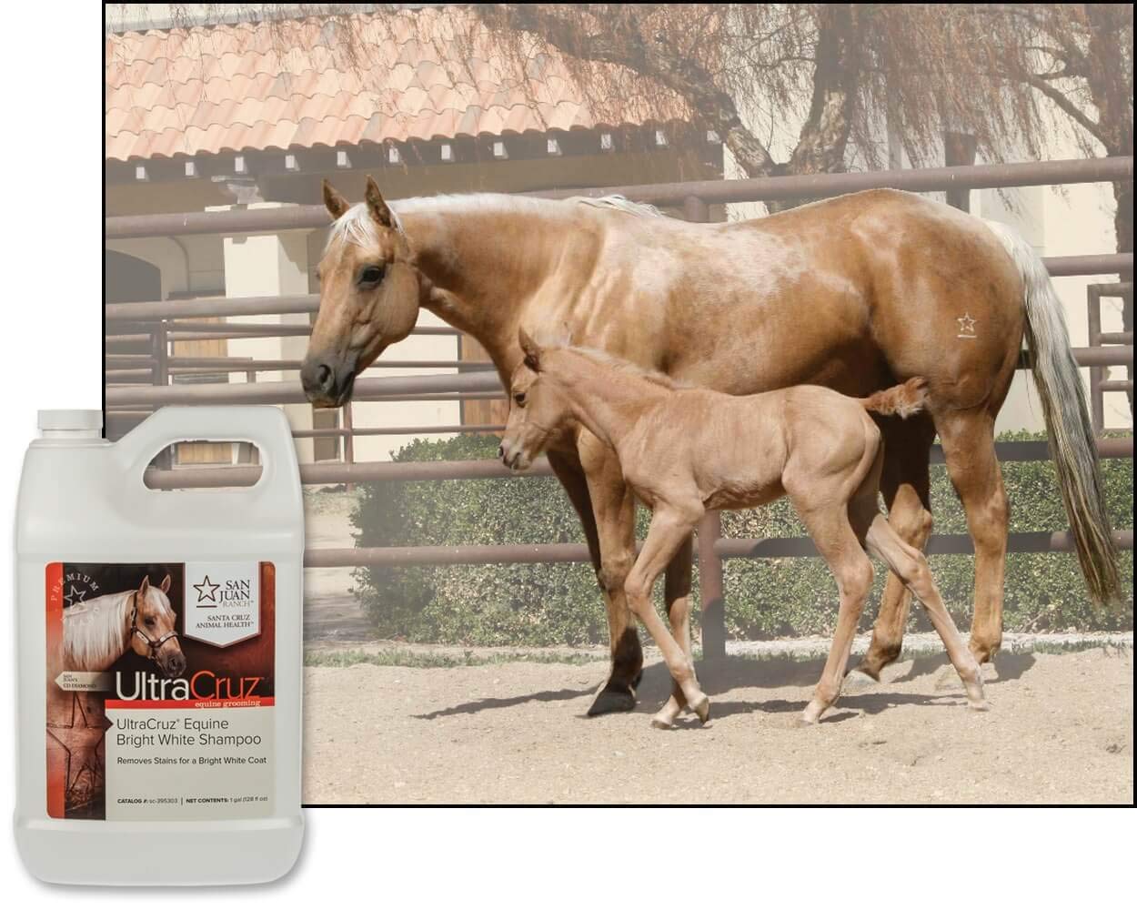 UltraCruz® Equine Bright White Shampoo, 1 Gallon