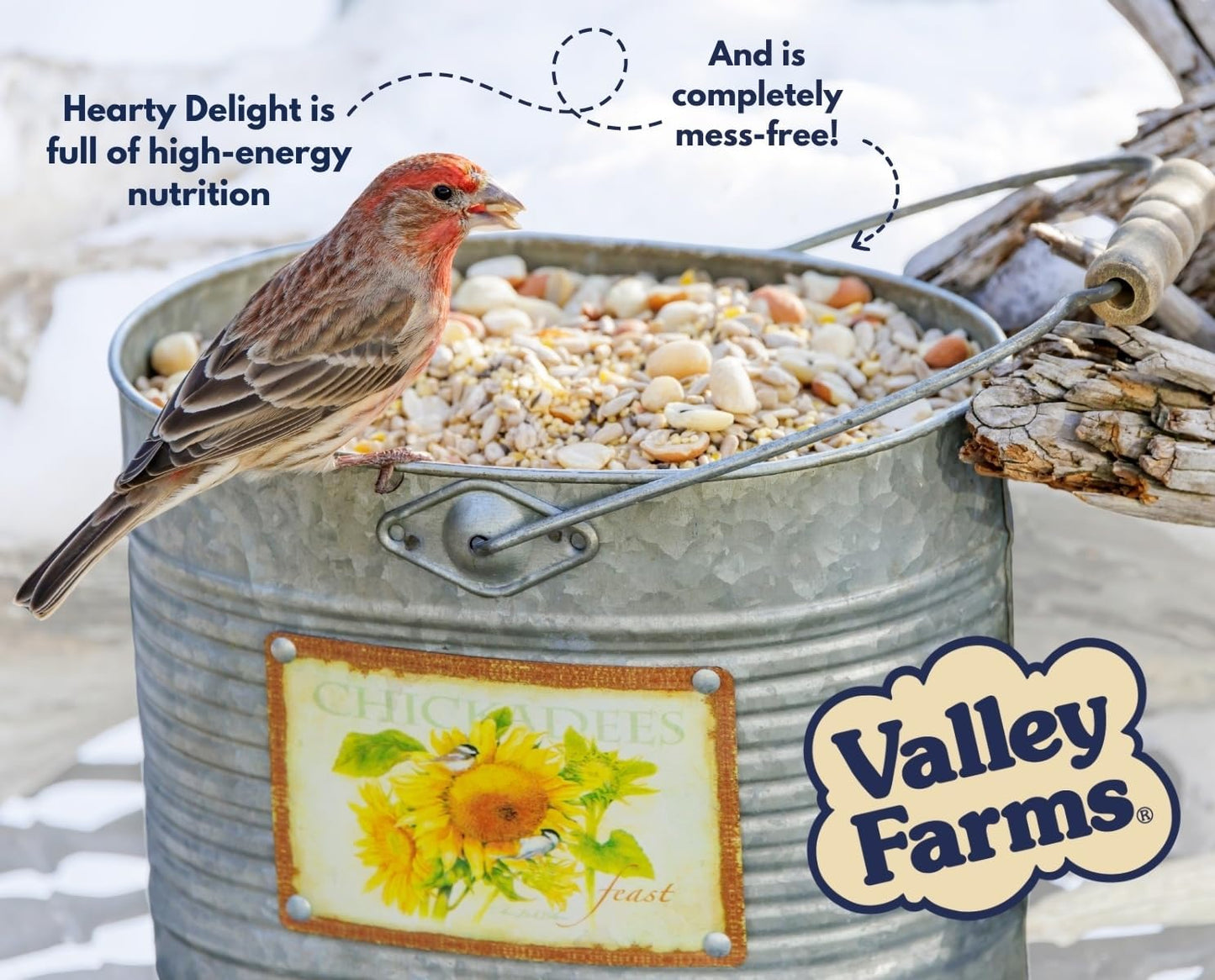 Valley Hearty Delight Wild Bird Food for Outside Feeders, No-Mess Wild Bird Seed with Sunflower Hearts & Peanut Kernels, Filler Free Bird Seed Perfect for Outdoor Patios, (4 LBS)