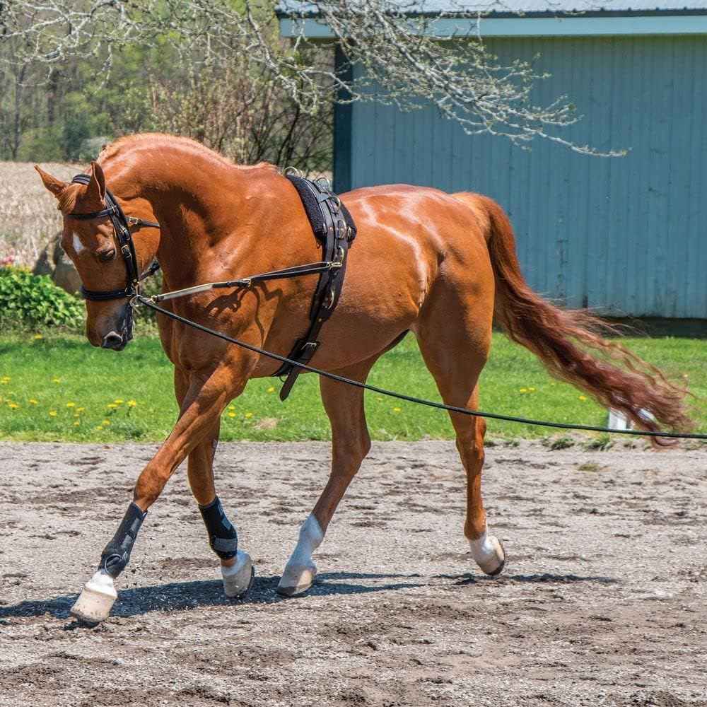 Dura-Tech Supersoft Lunge Line | Enhanced Horse Control | Comfortable Grip | Replaceable Brass Snap | 30ft Length | Ideal for Equestrian Training