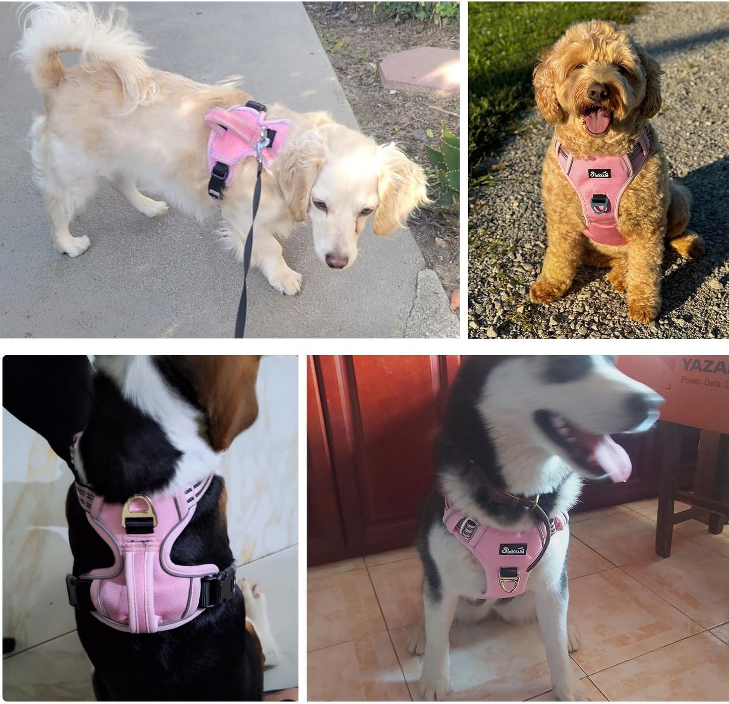 SlowTon No Pull Dog Harness, No Choke Pet Harness with 2 Leash Clips and Easy Control Vertical Handle, Adjustable Soft Padded Dog Vest for Small, Medium and Large Dogs (Pink, Medium)