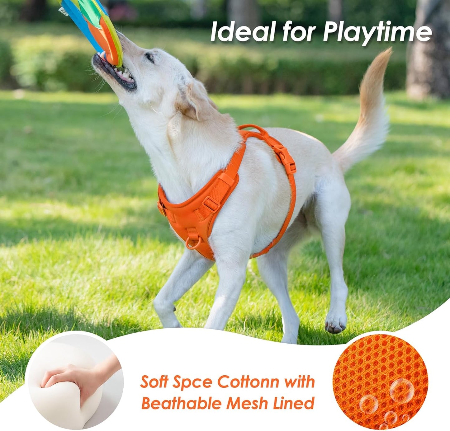 No Pull Dog Harness, Puppy Vest with Front Clip for Small Medium Large Sized Dog(Orange,S)