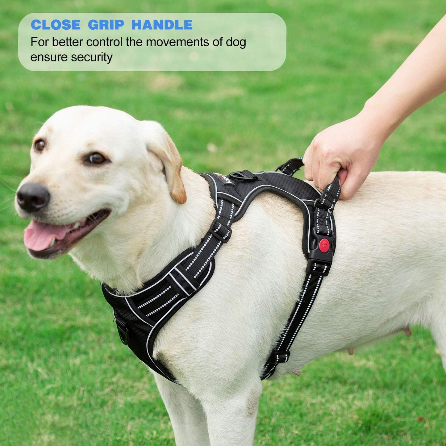 No Pull Dog Harness Adjustable Reflective Oxford Easy Control Medium Large Dog Harness with A Free Heavy Duty 5ft Dog Leash (XL (Neck: 21.5"-33", Chest: 30"-39.5"), Red Harness+Leash)