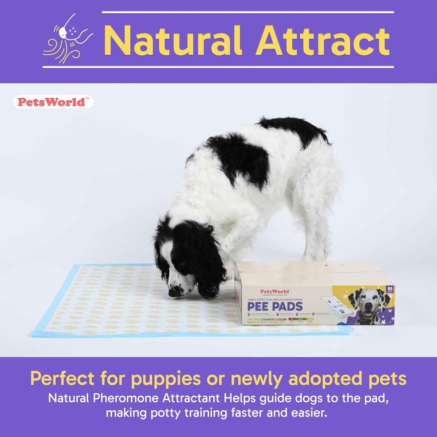 PETSWORLD Giant Dog Potty Pads, Odor-Eliminating, 36" x 36", Ultra Absorbent 5-Layer Leak-Proof Training Pads for Dogs & Cats (36x36 Health Indicating, 100 Count)