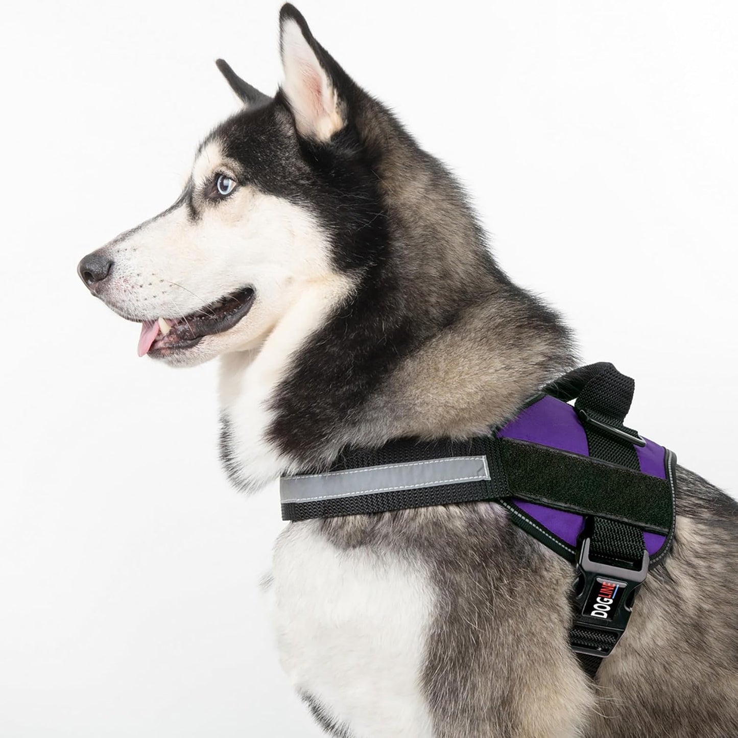 Dogline Dog Harness, Reflective No-Pull Adjustable Vest with Handle, Breathable No-Choke Harness for Small, Medium or Large Dogs Room for Patches Girth 18 to 24 in Purple