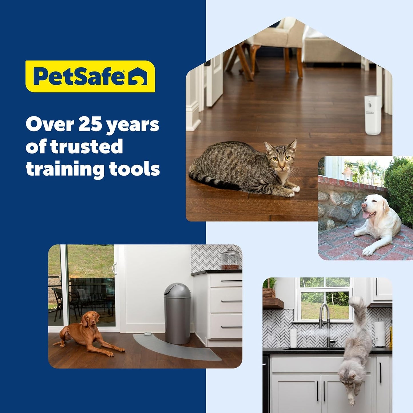 PetSafe Teach & Treat Remote Reward Trainer Remote Treat Dispenser for Dogs Portable Training Tool