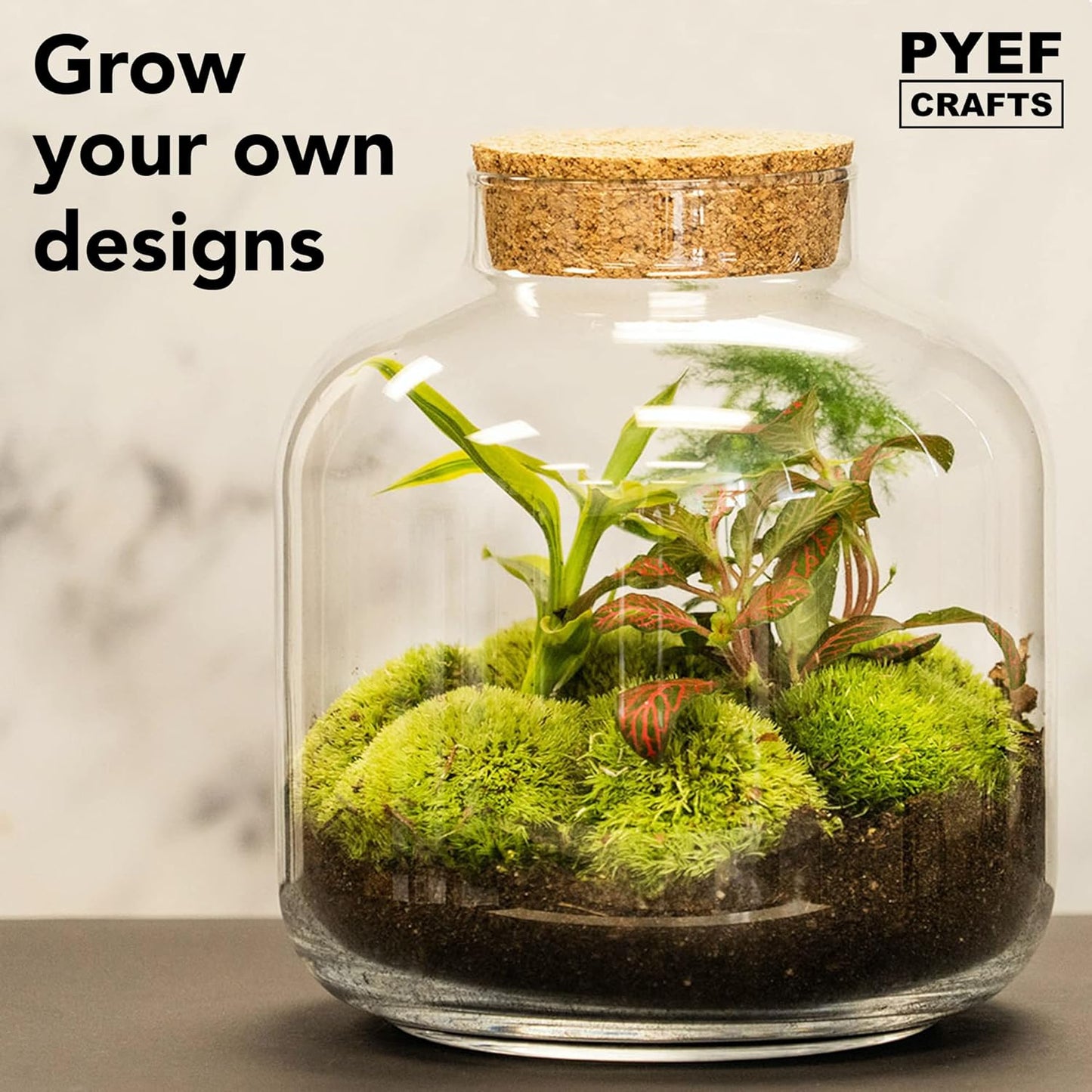 DIY Terrarium Kit for Plants – Build a Self‑Sustaining Closed Ecosystem – Supplies for Up to 68 oz (1‑2 Liter) – Succulents, Air Plants (Tillandsia), Fern – Jar Not Included