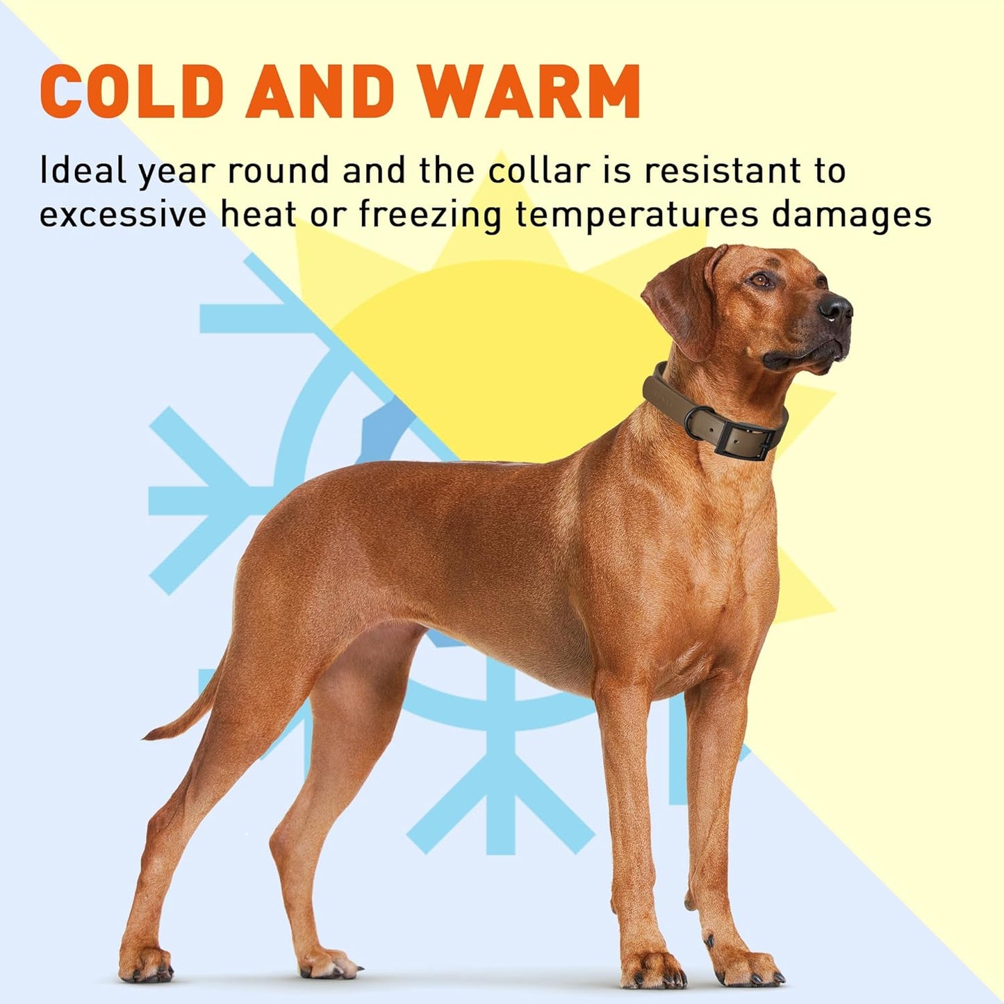 Dogline Biothane Waterproof Dog Collar Strong Coated Nylon Webbing with Black Hardware Odor- Proof for Easy Care Easy to Clean High Performance Fits Small Medium or Large Dogs, Dark Chocolate Brown