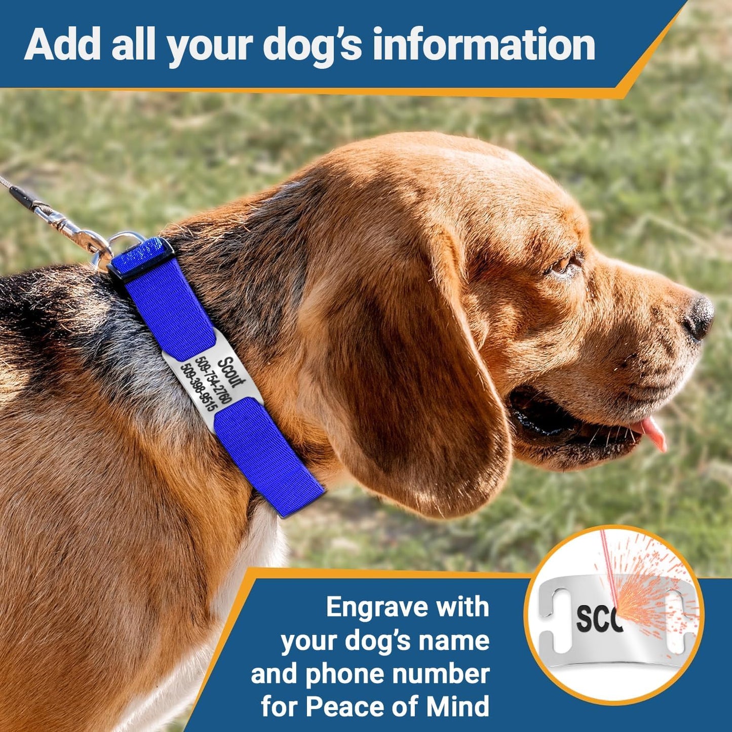 GoTags Reflective Personalized Dog Collar with Nameplate, Adjustable Dog Collar with Custom Engraved Steel Slide On Pet ID Tag, Silent, No Noise Dog Tag for Large Medium or Small (Pink, Small)