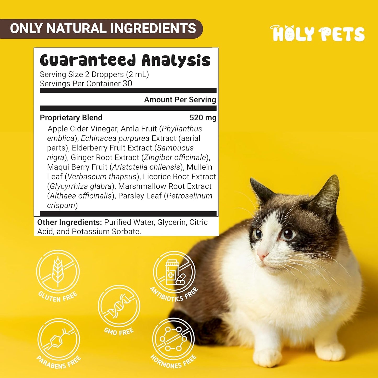 Cough Medicine for Dogs & Cats, Kennel Cough Treatment, Respiratory Infection Support - Sneezing Relief & Cough Treatment - Pet Asthma Support - Made with Natural Ingredients in The USAA