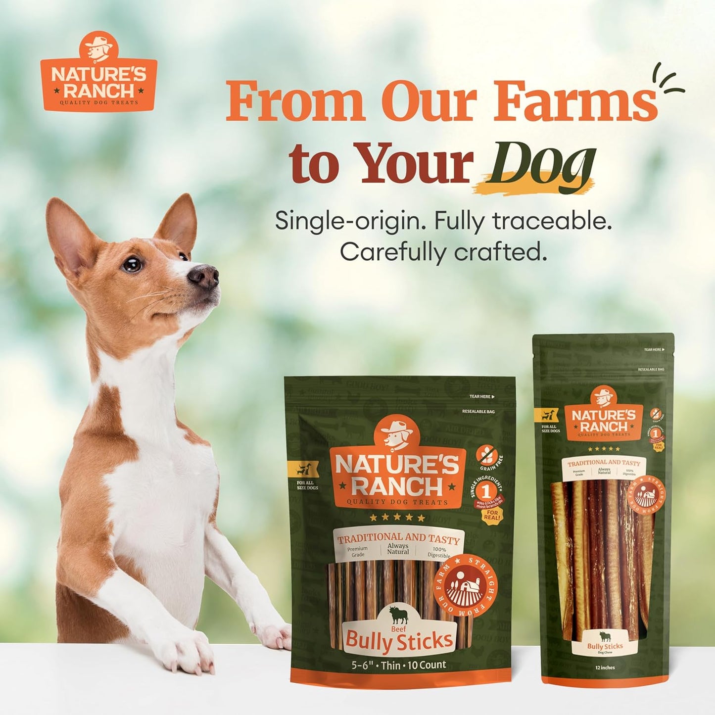 Nature's Ranch Bully Sticks for Dogs 3–5 Inch (15 Pack), Low Odor Long Lasting Dog Chews, Rawhide Free Natural Chew Sticks, Single Ingredient Beef Pizzle for Small & Medium Dogs