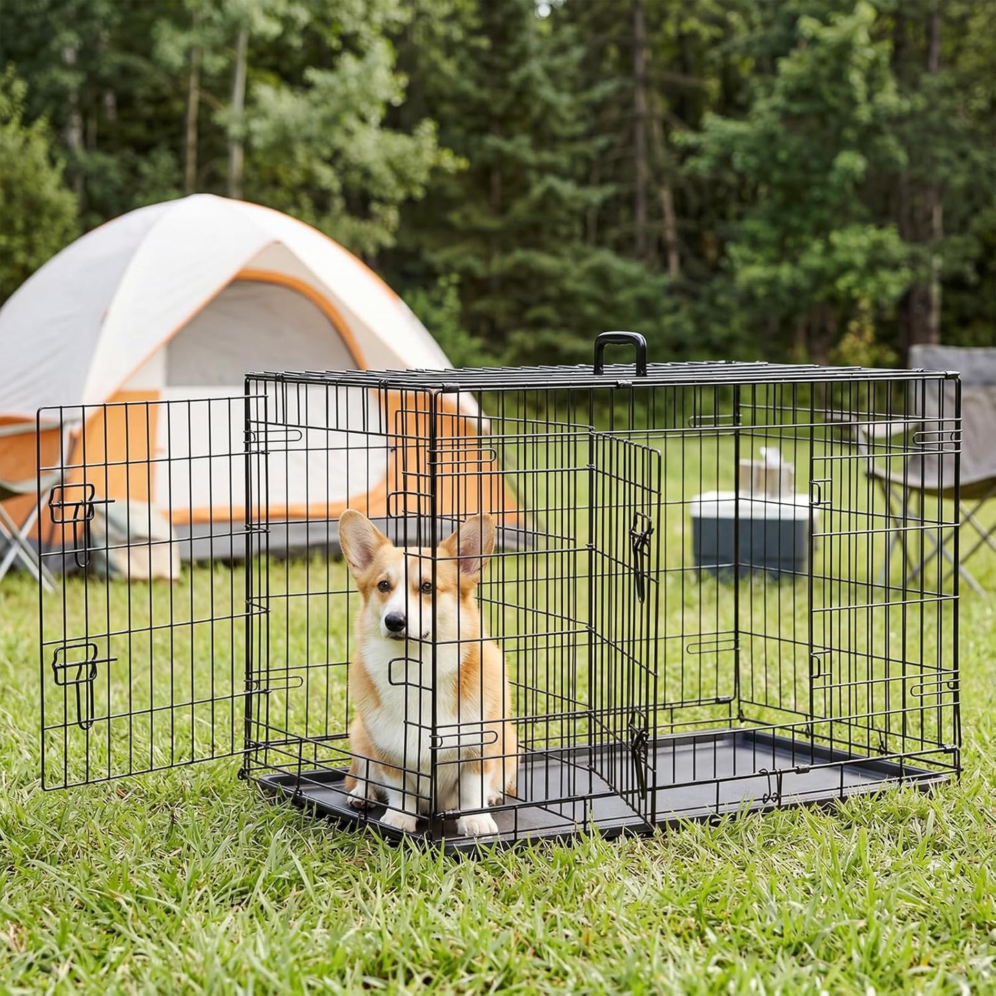 Sweetcrispy 36 Inch Dog Crate, Medium Crates Double Door Folding Metal Wire Dog Cage with Plastic Leak-Proof Pan Tray, Pet Kennel for Indoor, Outdoor, Travel