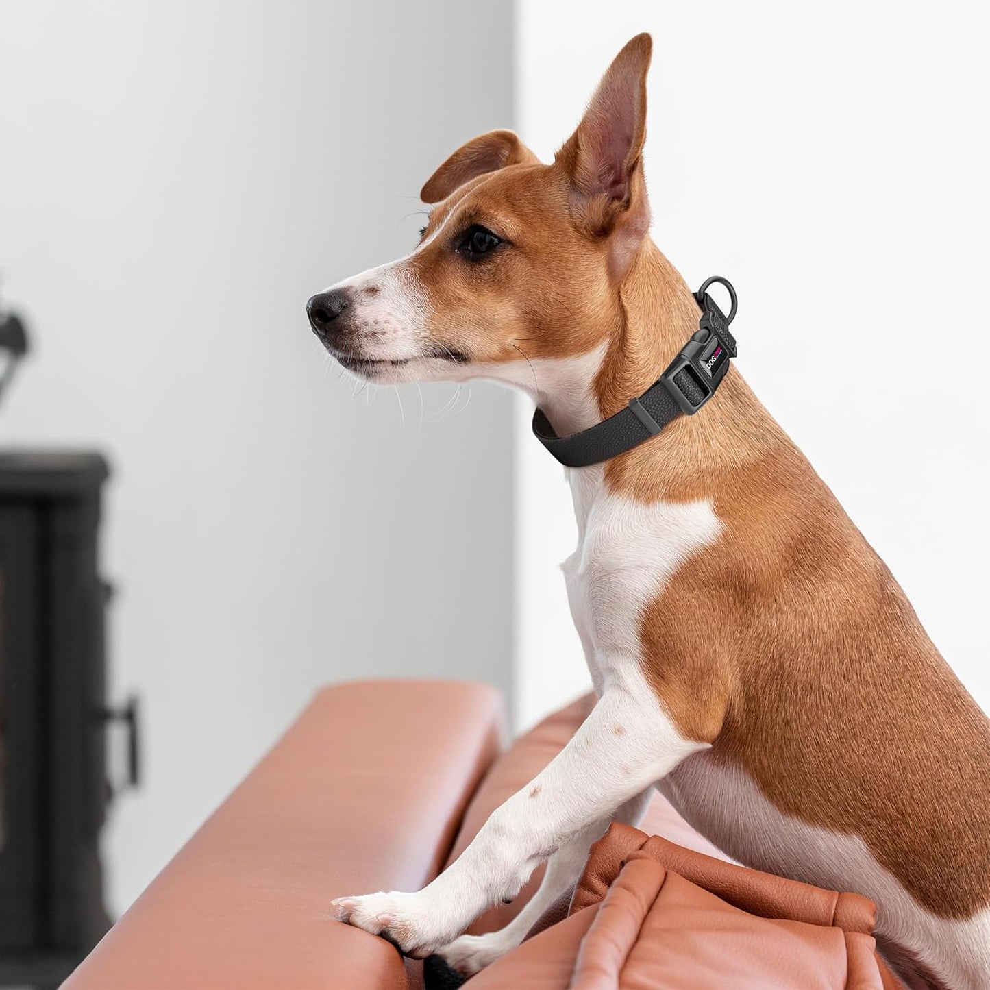 Waterproof BioThane Dog Collar with Pebble Emboss - Quick Release Buckle, Odor Resistant, Durable & Easy Clean Design for Everyday Wear and Outdoor Use, Made in USA (Black, W 1" L 15-25")