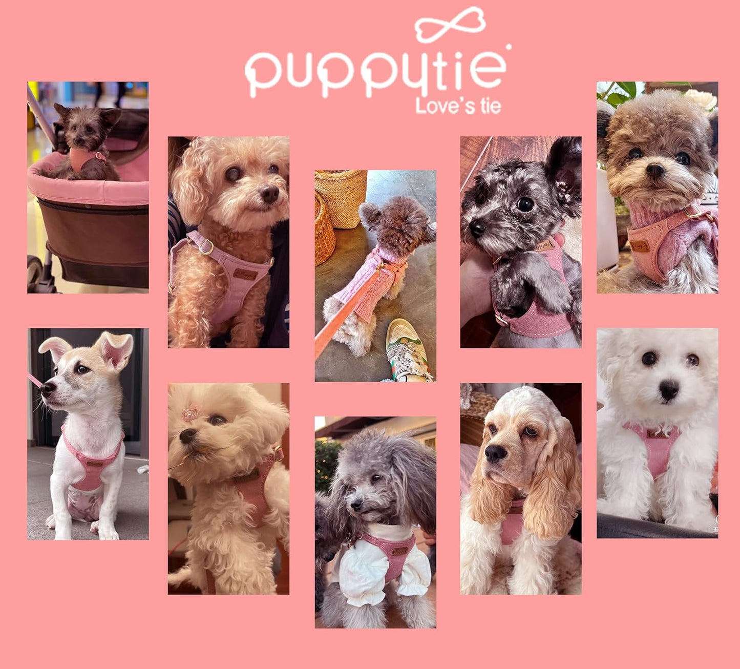 Puppytie No Pull xs Dog Harness with Multifunction Dog Leash,Soft Adjustable No Choke Escape Proof Pet Harness Vest,Pink,XS