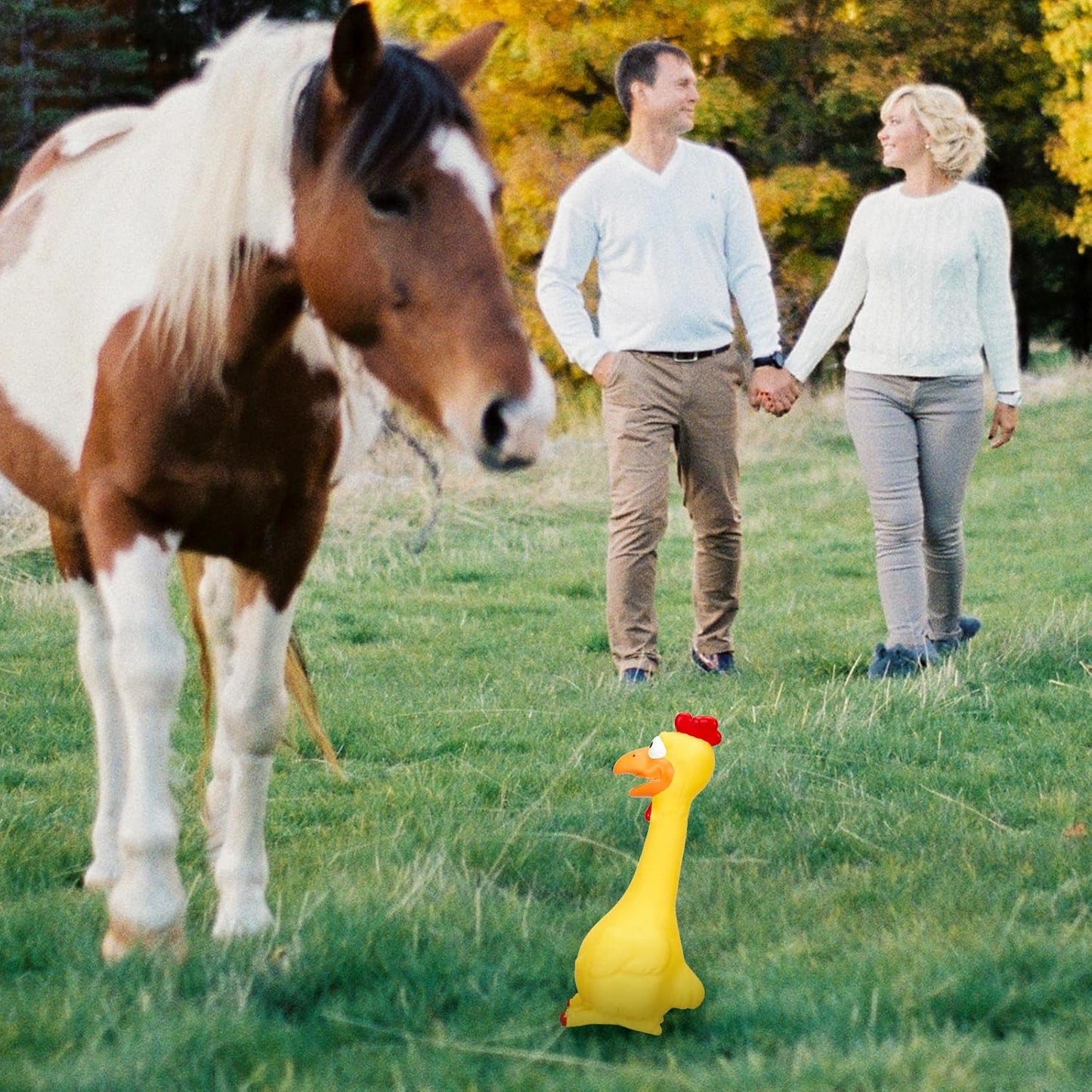 Hungdao 1 Pcs Horse Toys Latex Squeaky Squeeze Chicken Squeak Turkey Balls for Play Fake Screaming Chicken Toys for Horses Soccer Ball for Reduce Separation Anxiety Noise Maker (Yellow)