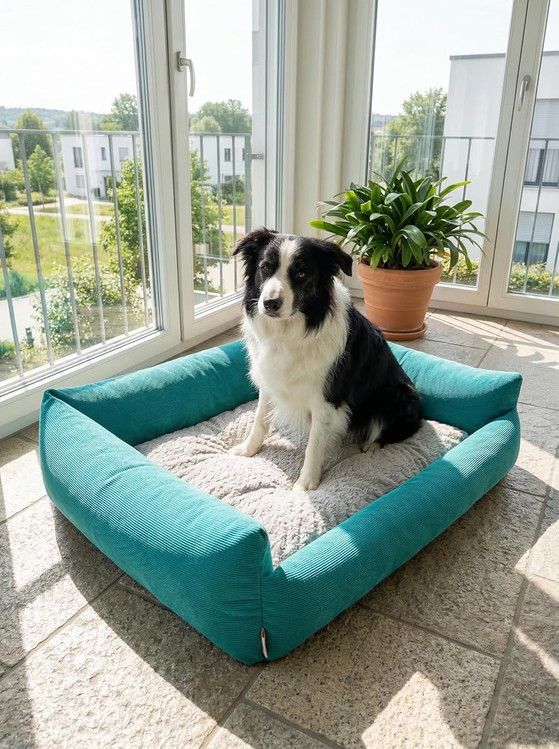 Cat Beds for Indoor Cats Washable, Small Dog Bed for Small Dogs, Orthopedic Dog Bed, Soft Warming Calming Sleeping Puppy Bed Durable Pet Bed with Anti-Slip Bottom 20 Inches