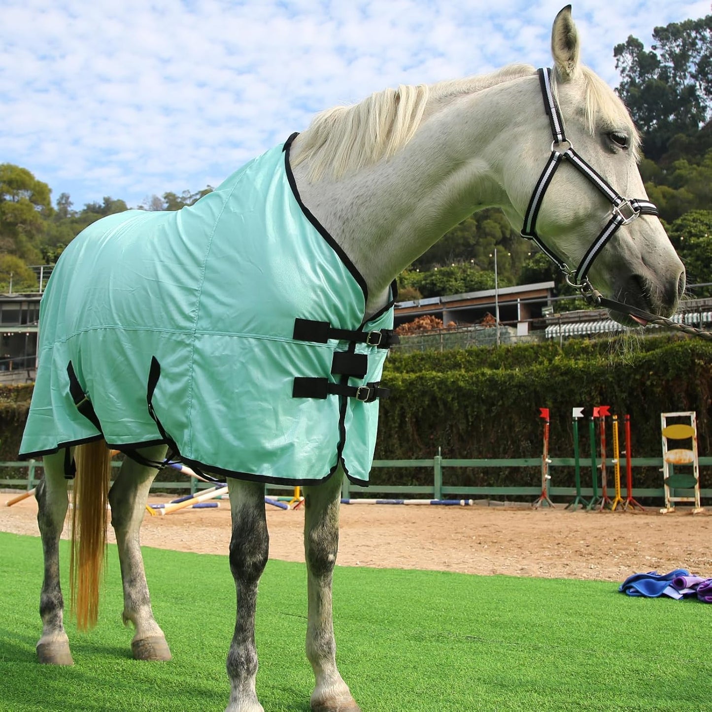 Horse Fly Sheet, Standard Neck Comfy Mesh Fly Sheet for Horses, Equine Summer Sheets UV-Protective Green 81