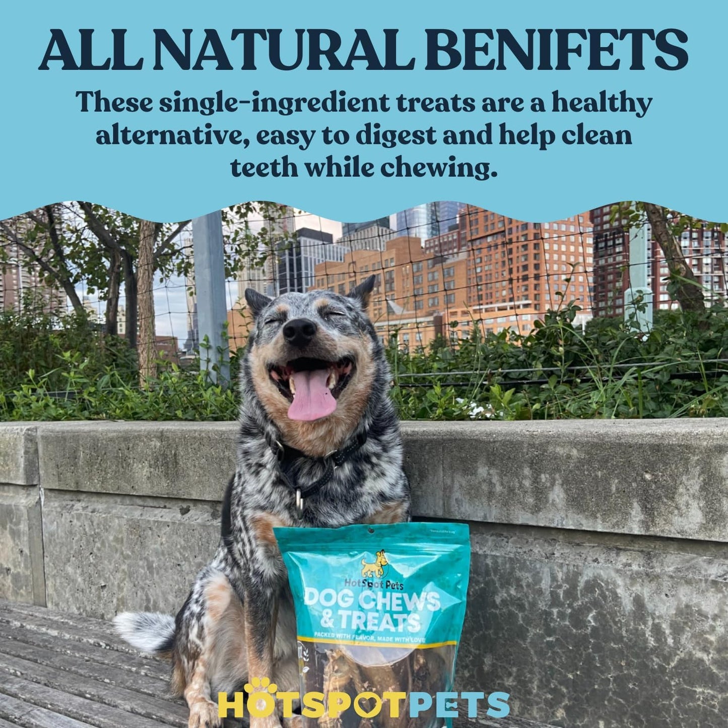 Small Premium Split Elk Antlers for Dogs - 4''-5'' Inch Long Dog Chews (3 Pack) Naturally Shed Antler Bone for Small Breed Aggressive Chewers - Made In USA -Odorless- Promotes Dental Hygiene (3 Pack)