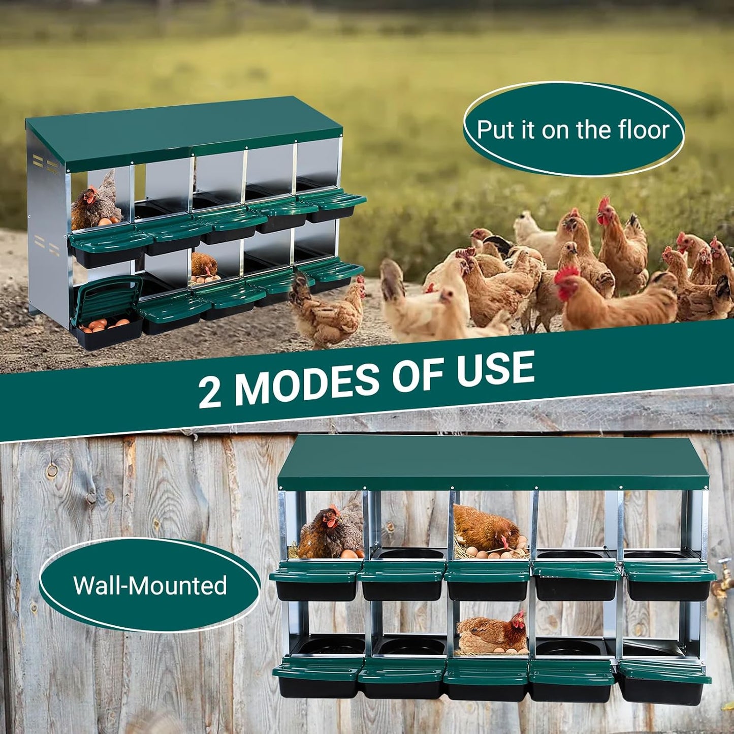 Garvee Chicken Nesting Boxes, 10 Hole Metal Chicken Laying Box with Removable Trays and Roll Out Egg Collection for Chicken Coop, Green