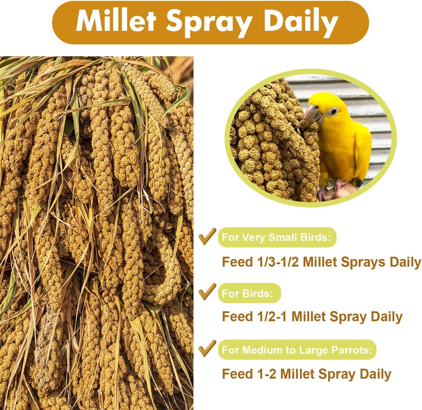 Jmxu's 2LB Spray Millet Treat for Birds Parakeets, Natural Sun-Dried Birds Millet for Cockatiel, Finches, Parrots, Hamster