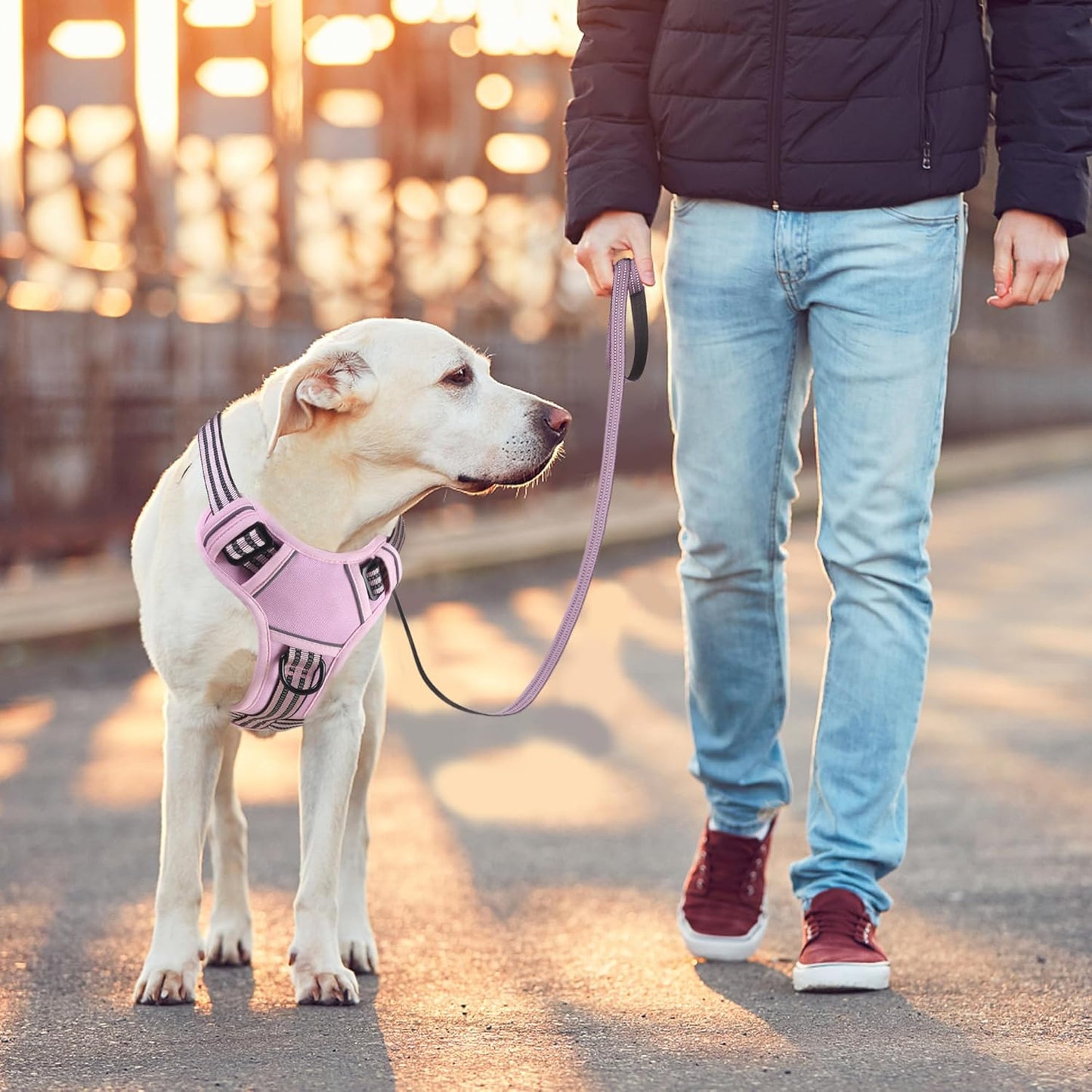 BUMBIN Dog Harness for Large Dogs, No Pull Adjustable No Choke Pet Vest with Dog Leash Fit Smart Reflective Pet Walking Harness for Training Easy Control Soft Handle Pink XL