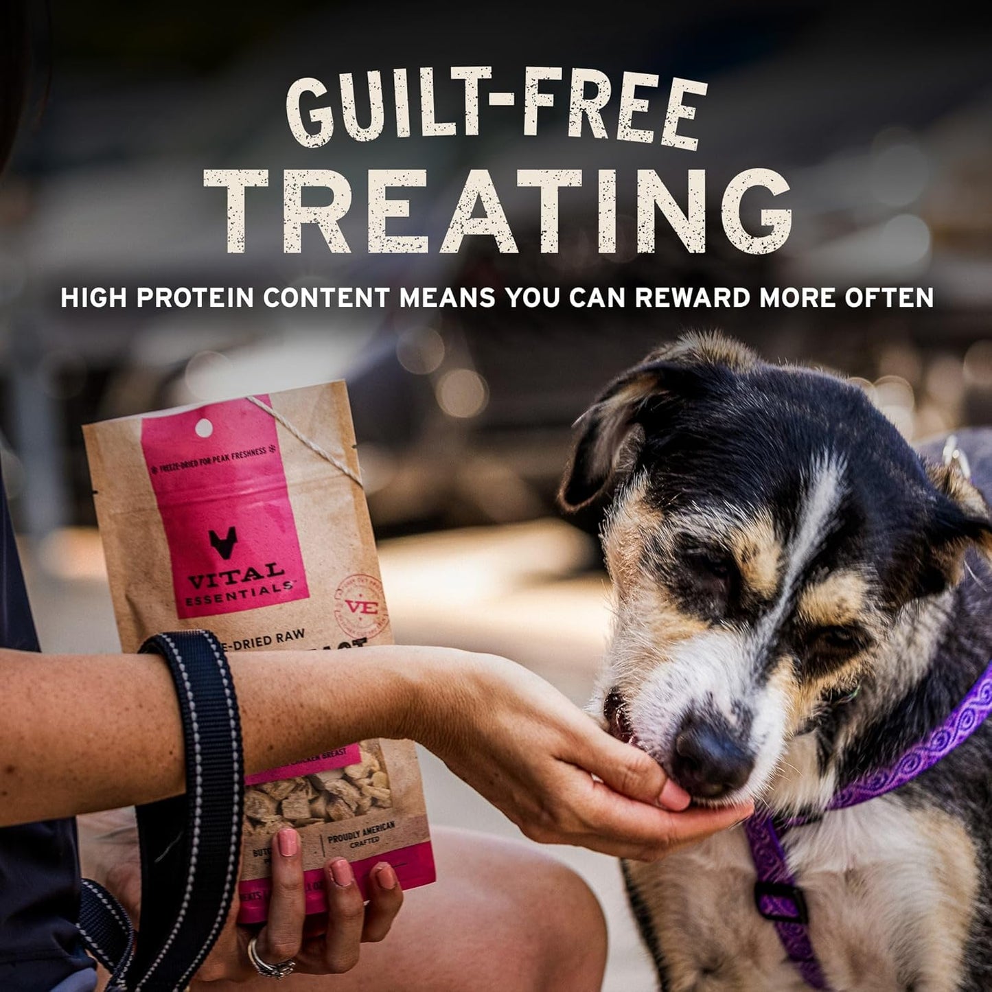 Vital Essentials Chicken Breast Dog Treats, 10 oz | Freeze-Dried Raw | Single Ingredient | Premium Quality High Protein Training Treats | Grain Free, Gluten Free, Filler Free