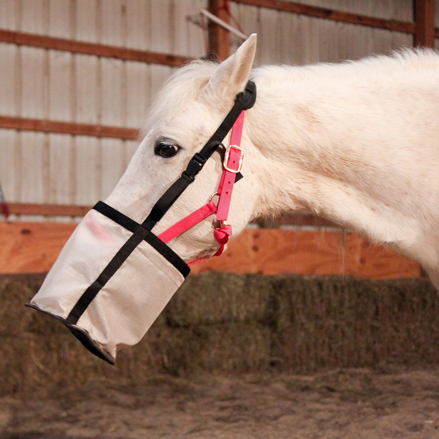 Majestic Ally Horse Feed Bag, Heavy Duty Nylon Mesh Grain Feed Bag, Adjustable Strap with Durable Snap and Elastic Straps, Comfort Neck Pad and Nose Pad- Large (Full, Dark Gray)