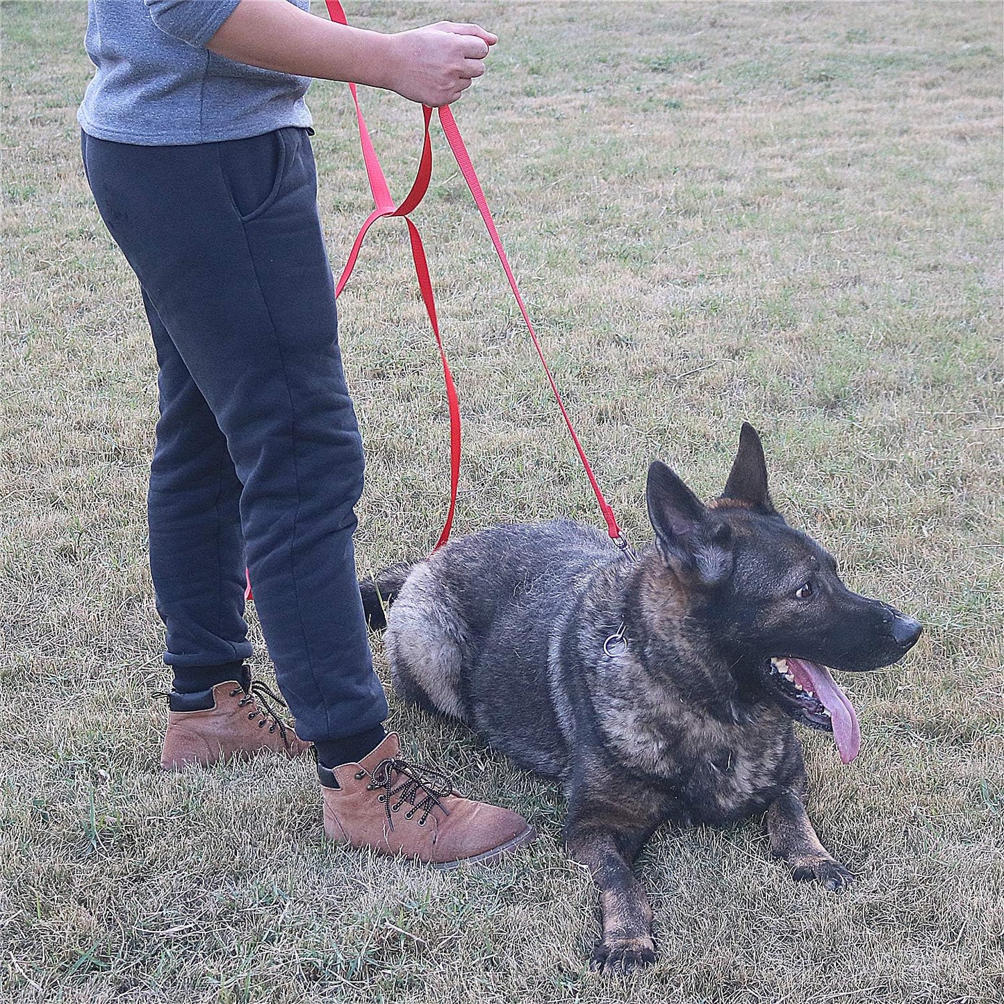 Dog/Puppy Obedience Recall Training Agility Lead - 15ft 20ft 30ft 40ft 50ft Training Leash - Great for Play, Camping, or Backyard - Blue 15ft (15Feet, Blue)
