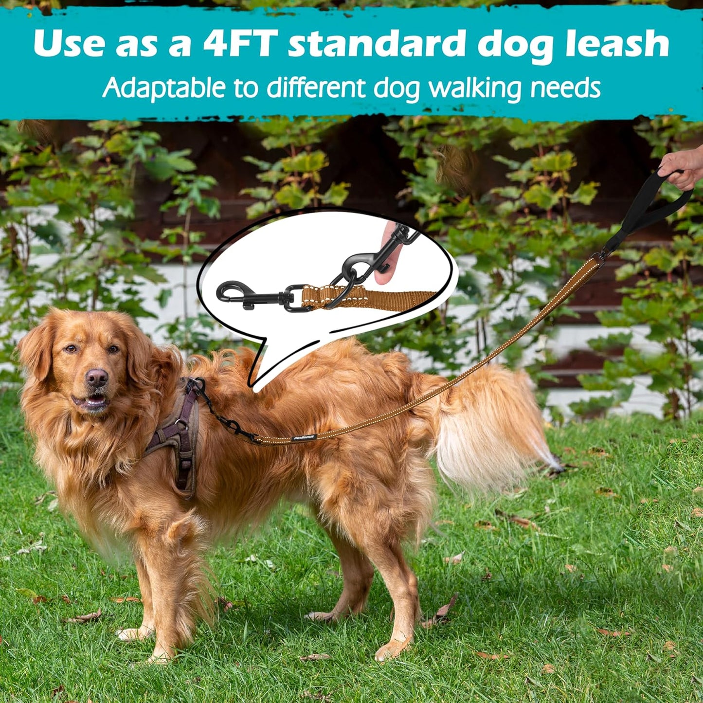 PetBonus Two Point Control Dog Leash, Works with No Pull Harnesses, No Tangle Dog Training Leashes, No Pull Padded and Reflective Walking Lead, Converts to Single Leash for Medium Large Dogs (Brown)