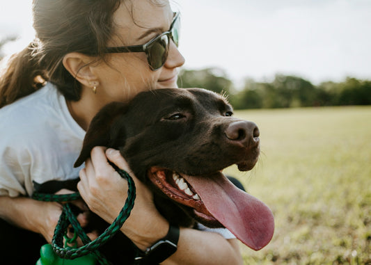 5 Ways to Elevate Your Pet's Wellness Routine