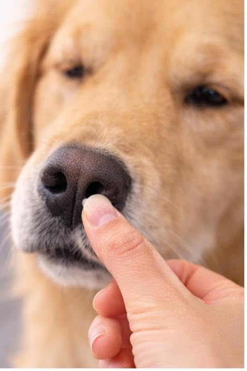 Dog Paw Balm for Dry Cracked Paws & Noses, Moisturizing Paw Pad Balm & Dog Nose Balm with Shea Butter, Dog Paw Moisturizer for Dogs, Safe to Lick, 1 oz