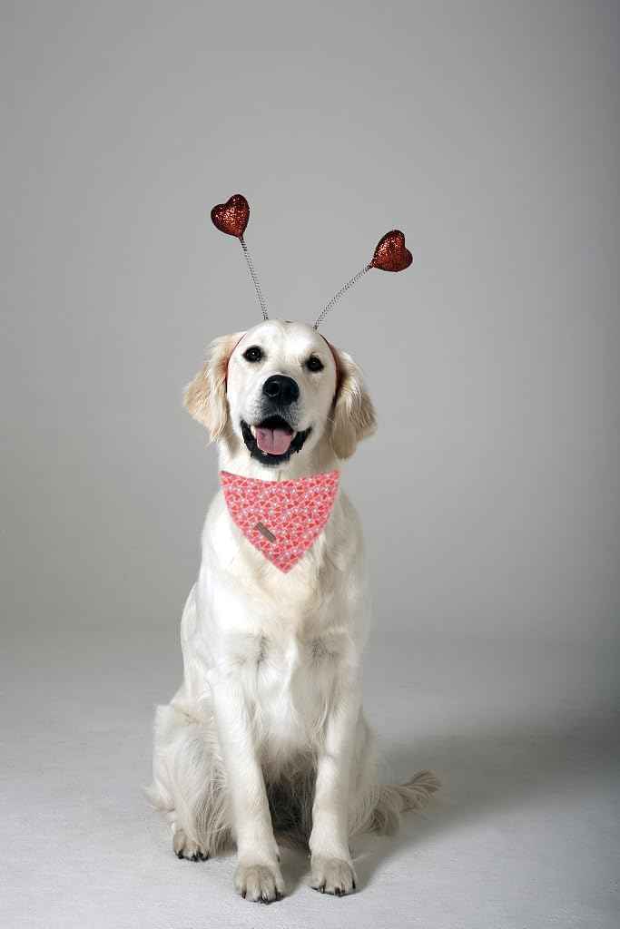 Lionet Paws Valentine Dog Bandana for Small Medium Dogs,Pink Hearts Dog Kerchief Washable Dogs Triangle Bibs Scarf for Girl or Boy