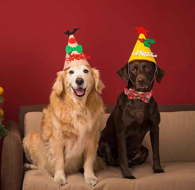 Unique Style Paws Christmas Day Dog Collar with Bow Christmas Tree Cotton Puppy Collars for Small Medium Large Dogs