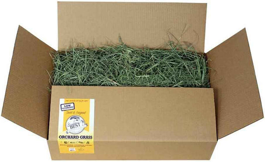 Grandpa's Best Orchard Grass Hay for Rabbits, Guinea Pigs, Chinchillas, Hamsters & Gerbils, 10lb Loose Boxed, Brown
