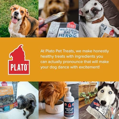 PLATO Pet Treats Fish Dog Treats - Air-Dried, Single Ingredient Dog Treat - with Omega 3 & 6 Fatty Acids to Support Skin and Coat - Cod Fish Skin - Hundur’s Crunch Jerky Mini - 10 oz - 2 Pack