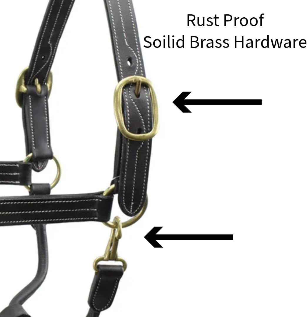 Derby Originals Coventry Triple Stitch Adjustable Leather Halter, Draft