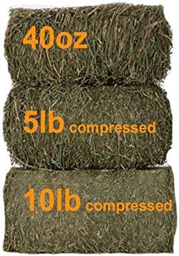 Grandpa's Best Orchard Grass Bale, 40 oz