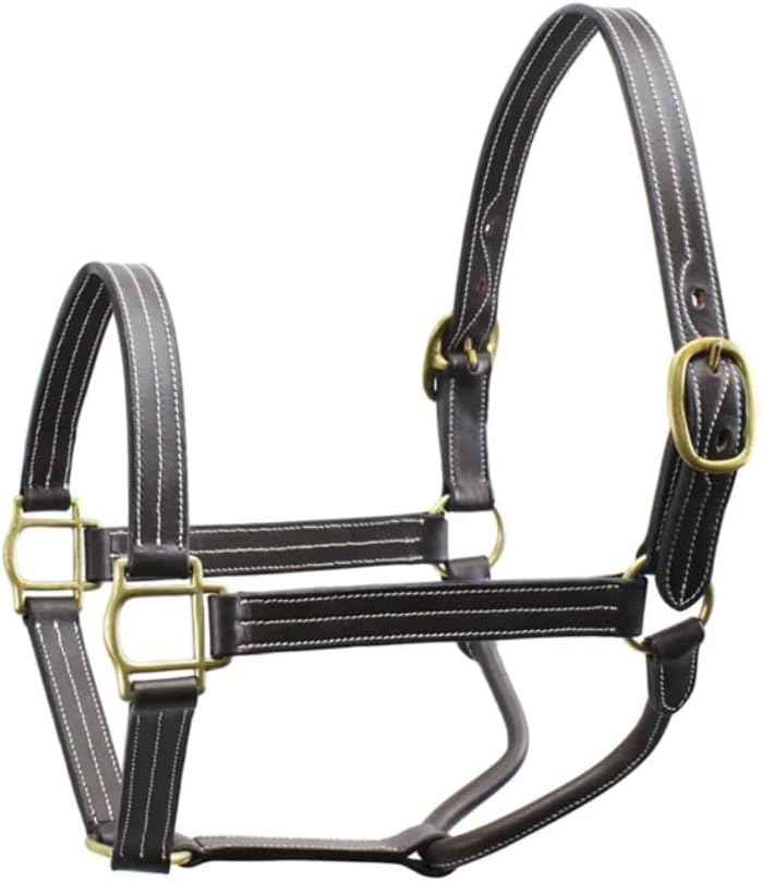 Derby Originals Coventry Triple Stitch Adjustable Leather Halter, Draft